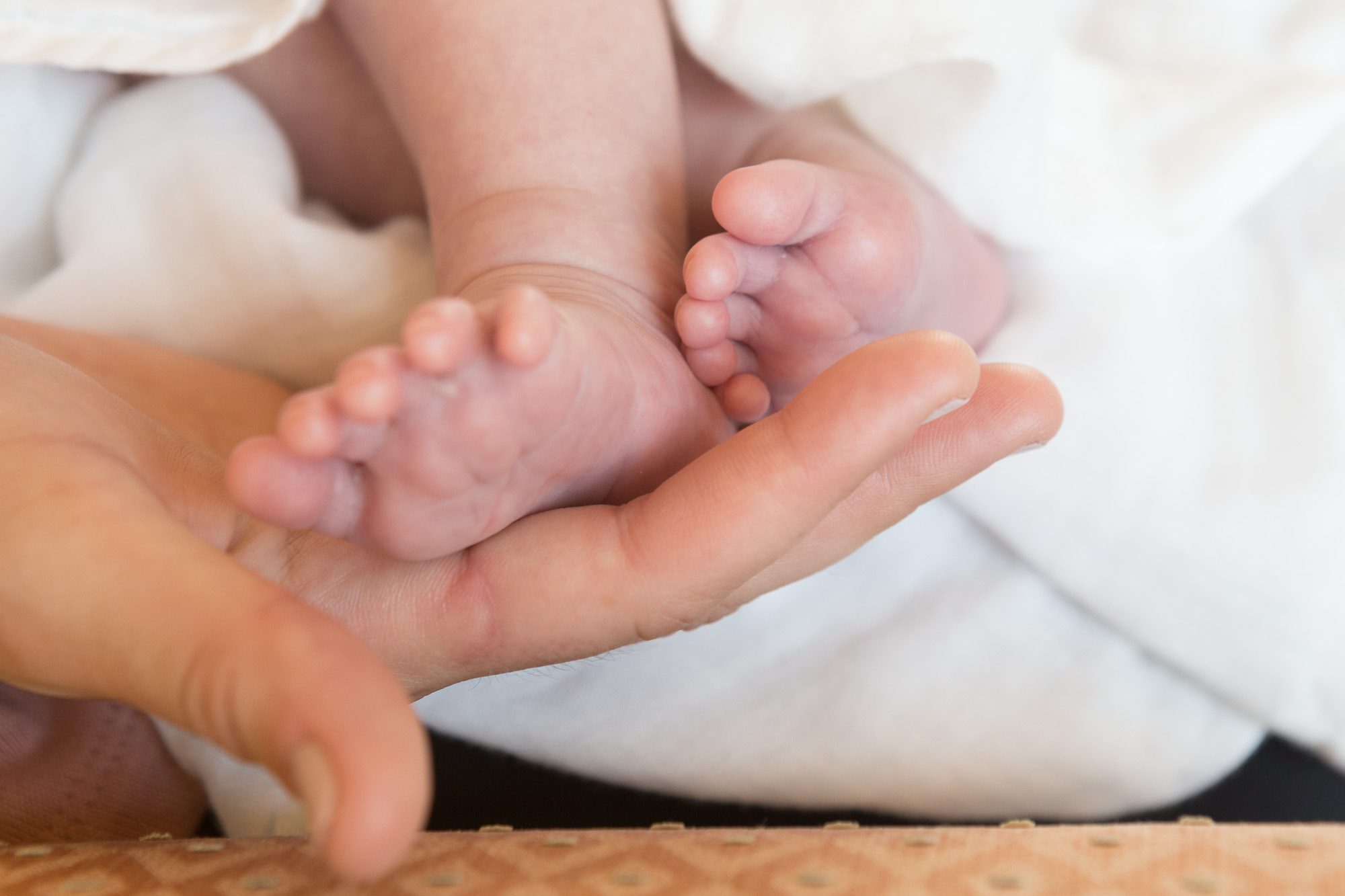 Birth and Postpartum Doula