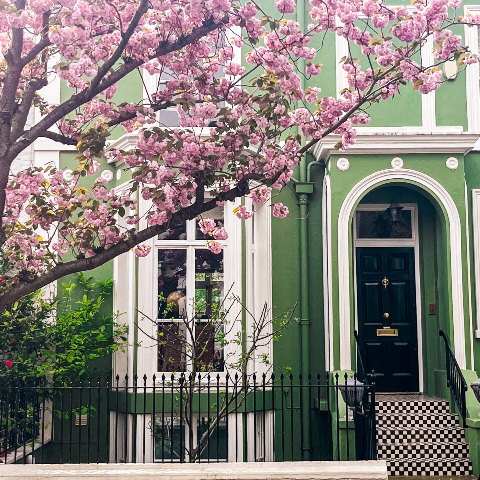 Cherry blossoms frame a charming green townhouse with white trim.
