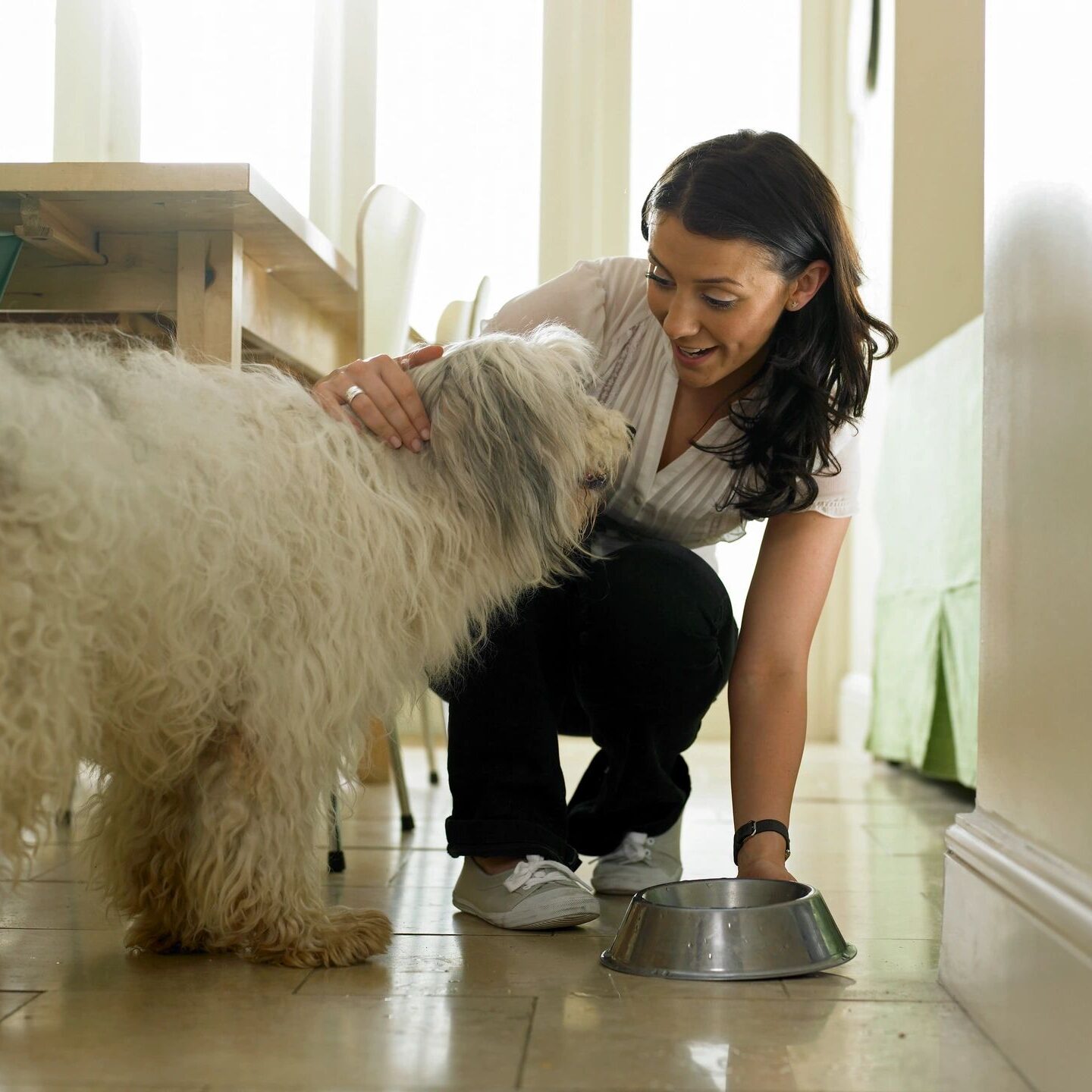 petsitter